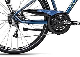 Plebe Cicli Livorno